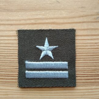 Stopień Do Furażerki Galowej Wojsk Lądowych - Major