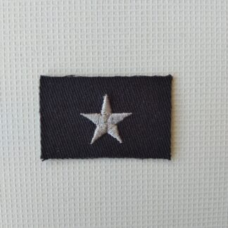 Stopień Do Furażerki Galowej Sił Powietrznych – Chorąży