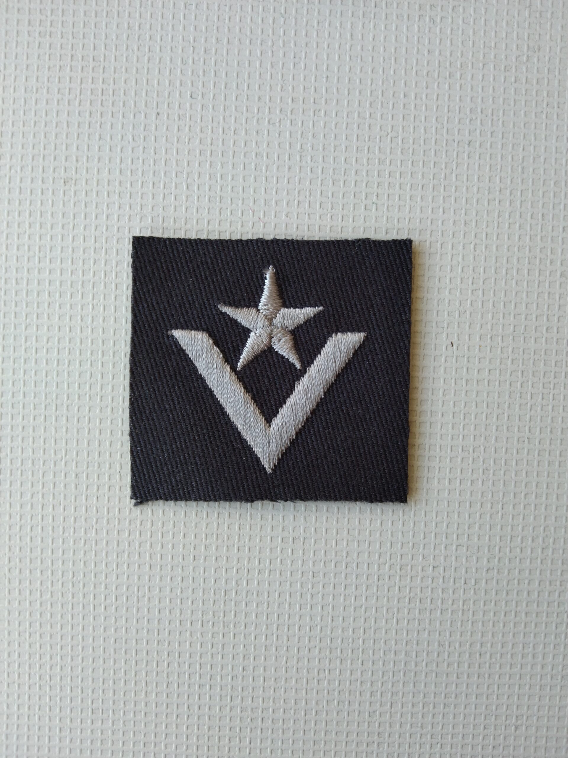 Stopień Do Furażerki Galowej Sił Powietrznych – Młodszy Chorąży