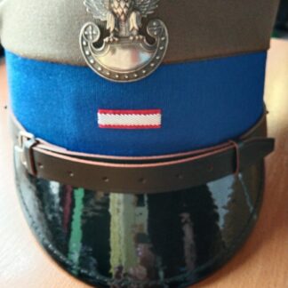 Otoki Starszy Szeregowy Specjalista Do Rogatywek Wojsk Lądowych Kolor Chabrowy