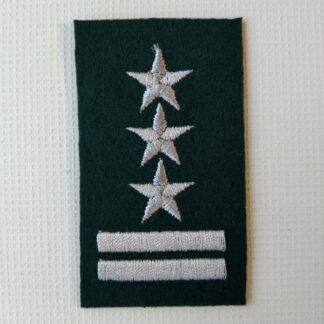 Stopień Na Beret WP Zielony – Pułkownik