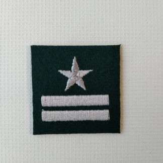 Stopień Na Beret WP Zielony – Major