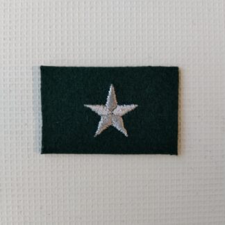 Stopień Na Beret WP Zielony – Chorąży