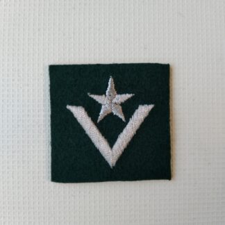 Stopień Na Beret WP Zielony – Młodszy Chorąży