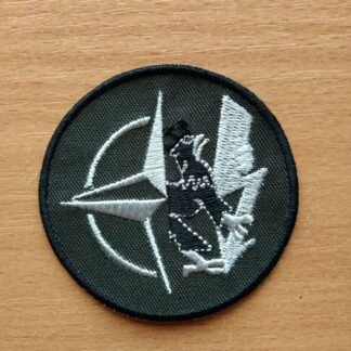 Pułk Wsparcia Dowodzenia Wielonarodowej Dywizji Północ-Wschód "Ziemi Elbląskiej" Polowa