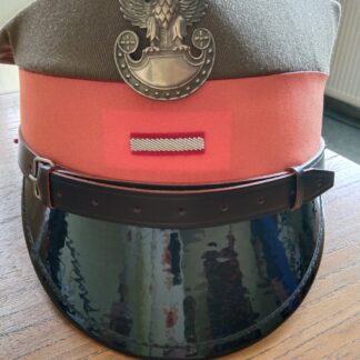 Otoki Starszy Szeregowy Specjalista Do Rogatywek Wojsk Lądowych Kolor Pomarańczowy